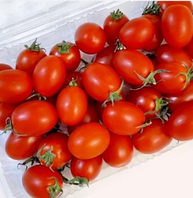 대추 방울토마토