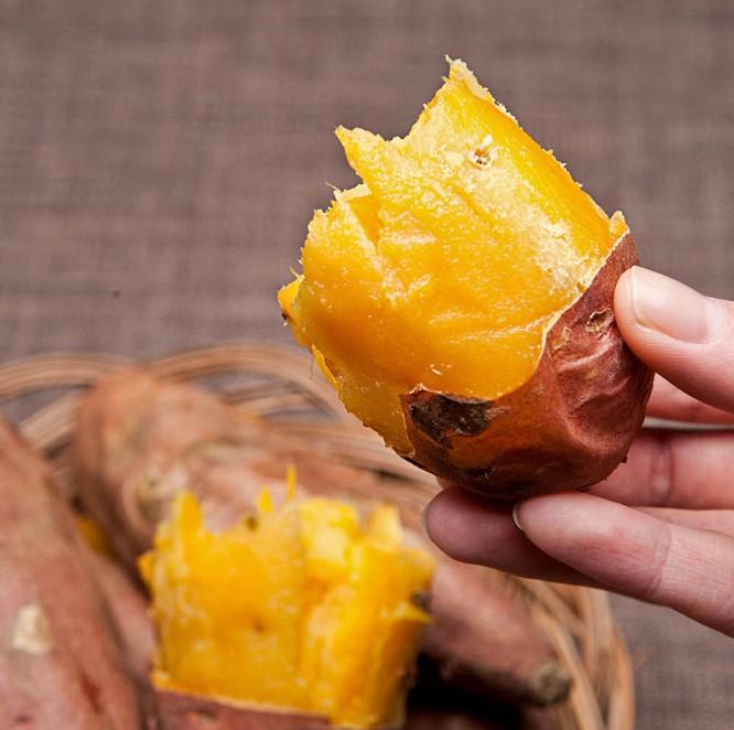 여주 호박고구마